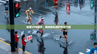 隐藏VPN插件，网络隐私保护的双刃剑