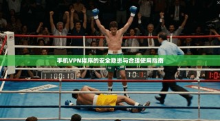 手机VPN程序的安全隐患与合理使用指南