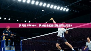 天天嘉年华VPN，网络自由的捷径还是风险陷阱？