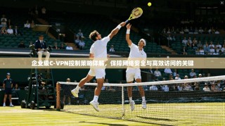 企业级C-VPN控制策略详解，保障网络安全与高效访问的关键