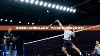 国内便宜VPN的真相与风险，为何低价背后藏着安全隐患？