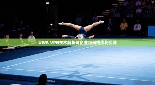 UWA VPN技术解析与企业级网络优化实践