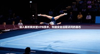 深入解析网关型VPN技术，构建安全远程访问的基石