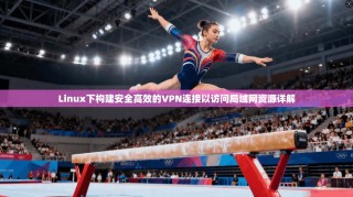 Linux下构建安全高效的VPN连接以访问局域网资源详解