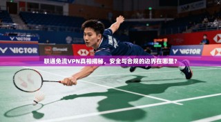 联通免流VPN真相揭秘，安全与合规的边界在哪里？