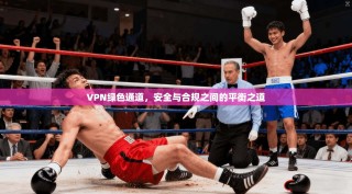 VPN绿色通道，安全与合规之间的平衡之道