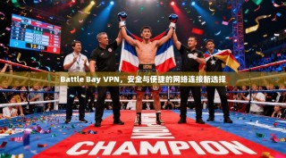 Battle Bay VPN，安全与便捷的网络连接新选择