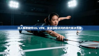 深入解析软件SSL VPN，安全远程访问的现代解决方案