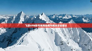 飞游VPN账号使用指南与网络安全建议