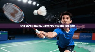 企业级VPN访问Web服务的安全策略与优化实践