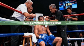 深入解析VPN技术原理与安全使用指南