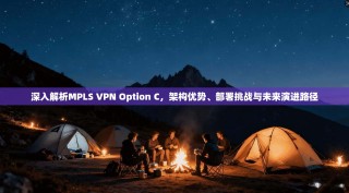 深入解析MPLS VPN Option C，架构优势、部署挑战与未来演进路径