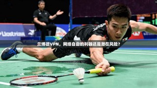 兰博德VPN，网络自由的利器还是潜在风险？