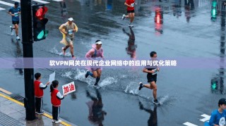 软VPN网关在现代企业网络中的应用与优化策略