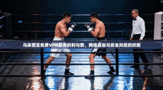 马来西亚免费VPN服务的利与弊，网络自由与安全风险的权衡