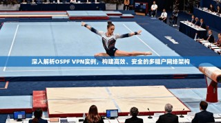 深入解析OSPF VPN实例，构建高效、安全的多租户网络架构