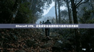 Ethersoft VPN，企业级安全连接的新兴选择与技术解析