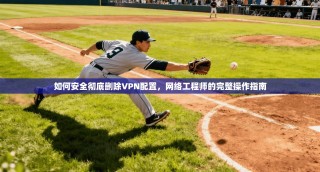 如何安全彻底删除VPN配置，网络工程师的完整操作指南