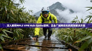 深入解析MPLS VPN Hub-Spoke架构，企业广域网优化的高效解决方案