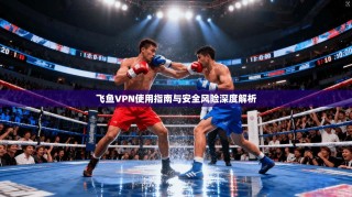 飞鱼VPN使用指南与安全风险深度解析
