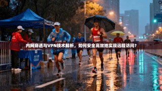 内网穿透与VPN技术解析，如何安全高效地实现远程访问？