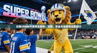 云陌VPN软件使用全解析，功能、安全与合规性深度探讨