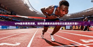 VPN服务费用详解，如何根据需求选择性价比最高的方案？