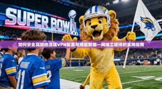 如何安全高效地清理VPN配置与残留数据—网络工程师的实用指南