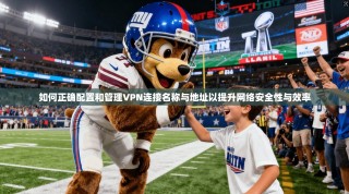 如何正确配置和管理VPN连接名称与地址以提升网络安全性与效率