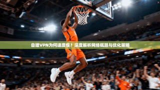 自建VPN为何速度慢？深度解析网络瓶颈与优化策略