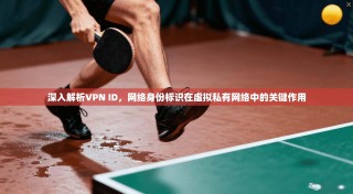 深入解析VPN ID，网络身份标识在虚拟私有网络中的关键作用