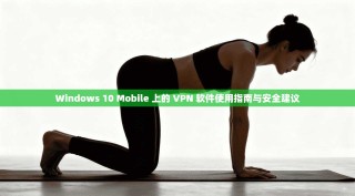Windows 10 Mobile 上的 VPN 软件使用指南与安全建议