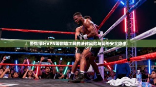 警惕绿叶VPN等翻墙工具的法律风险与网络安全隐患