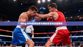 Wing VPN使用指南与网络安全性深度解析