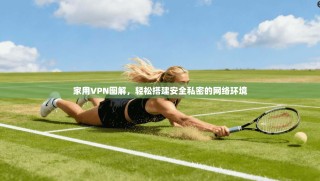 家用VPN图解，轻松搭建安全私密的网络环境