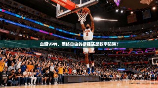 血源VPN，网络自由的捷径还是数字陷阱？