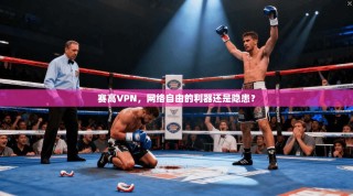 赛高VPN，网络自由的利器还是隐患？