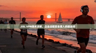 SSL VPN技术详解，企业远程安全接入的新选择