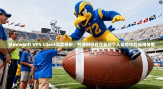 ShrewSoft VPN Client深度解析，开源利器在企业与个人网络中的应用价值