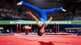 赛风VPN鉴定信息深度解析，安全、合规与用户隐私的权衡之道