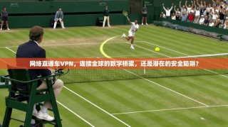 网络直通车VPN，连接全球的数字桥梁，还是潜在的安全陷阱？