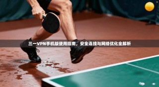 三一VPN手机版使用指南，安全连接与网络优化全解析