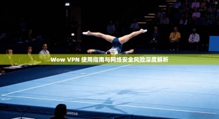 Wow VPN 使用指南与网络安全风险深度解析
