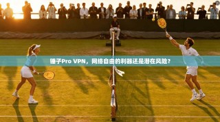 锤子Pro VPN，网络自由的利器还是潜在风险？