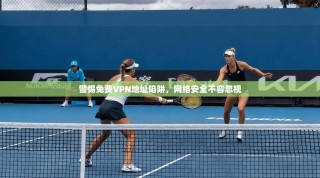 警惕免费VPN地址陷阱，网络安全不容忽视