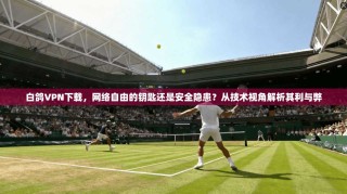 白鸽VPN下载，网络自由的钥匙还是安全隐患？从技术视角解析其利与弊