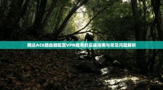 腾达AC6路由器配置VPN服务的实战指南与常见问题解析