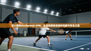深入解析RouterWeb VPN，企业级网络连接的利器与安全之道