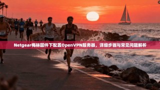 Netgear梅林固件下配置OpenVPN服务器，详细步骤与常见问题解析