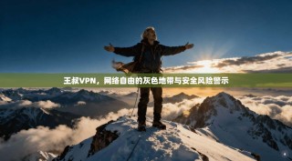 王叔VPN，网络自由的灰色地带与安全风险警示